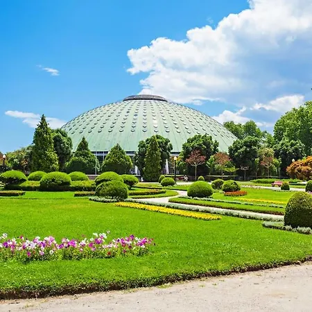 Netto Vibes דירה