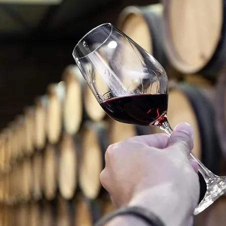 Netto Vibes * Oporto